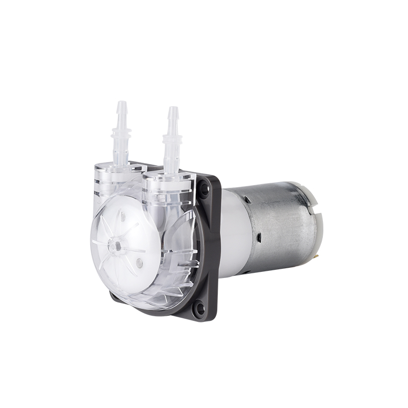 PENGPU Mikro-Peristaltikpumpe  – Mini Peristaltic Pump 12V Bewertung und Preis